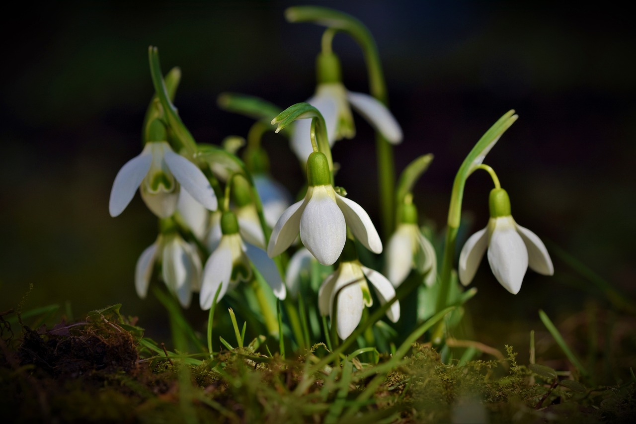 10 Easy Crafts to Celebrate Spring